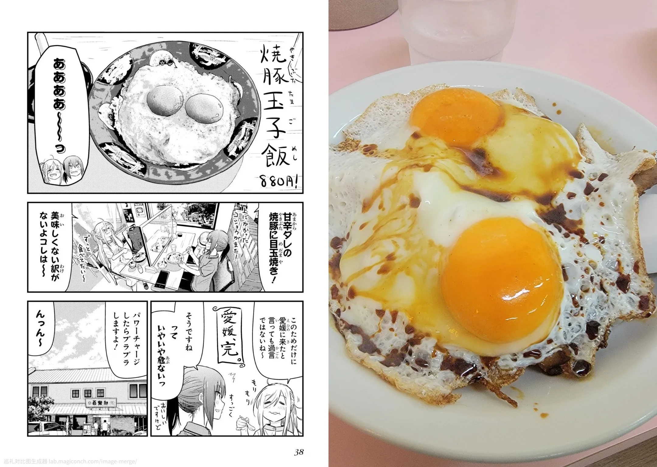 焼豚玉子飯