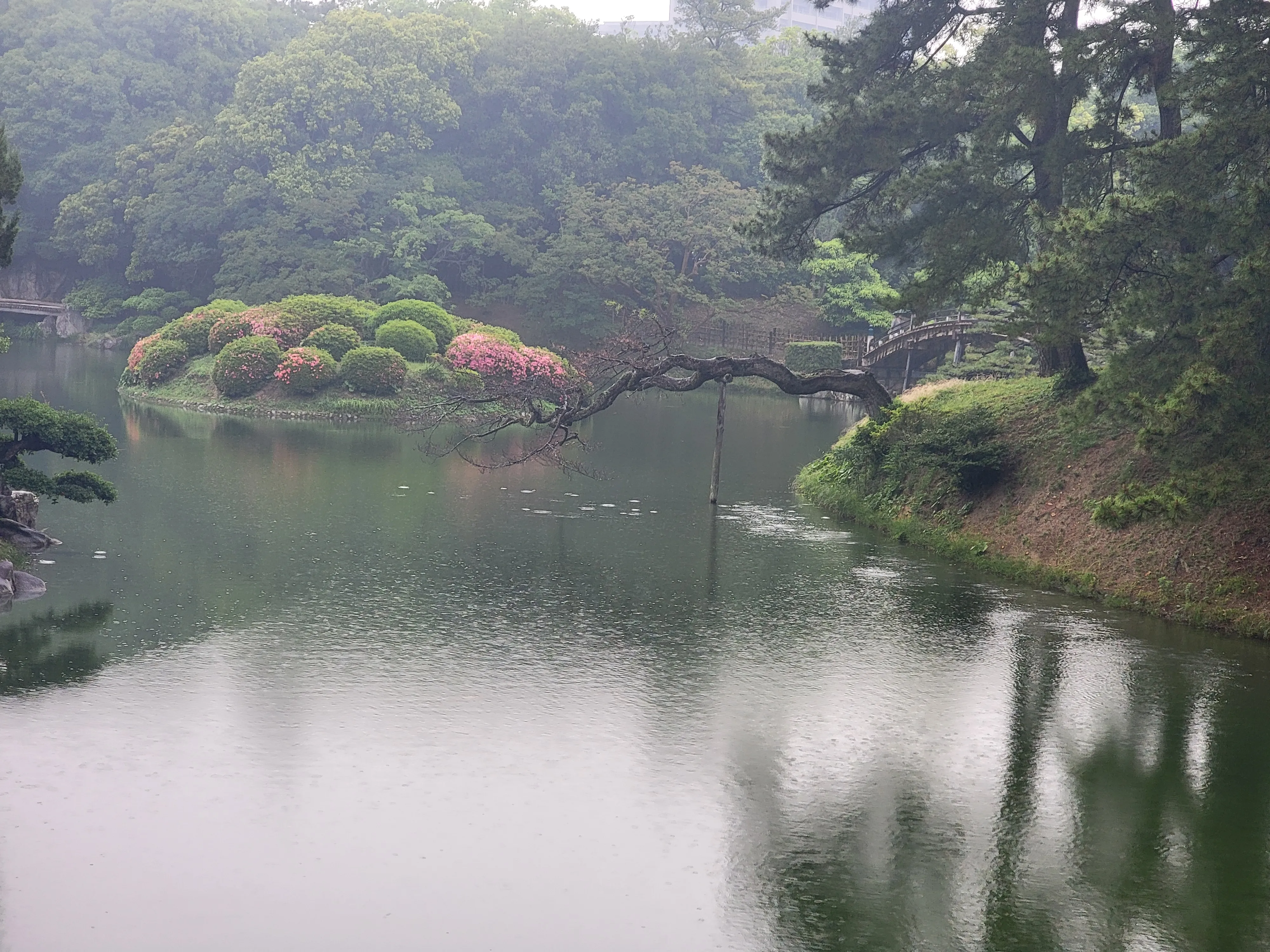 抓钩点
