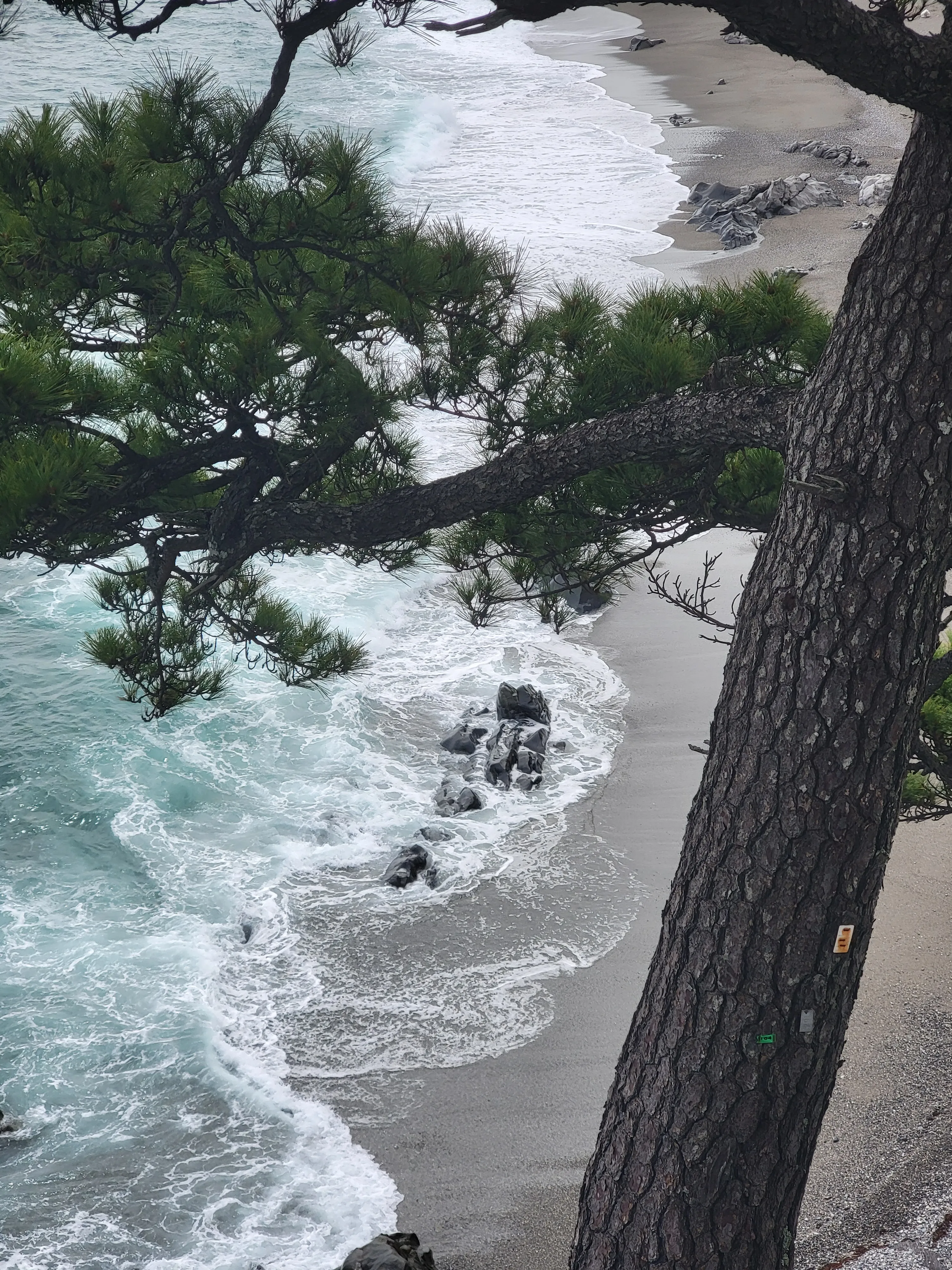海边