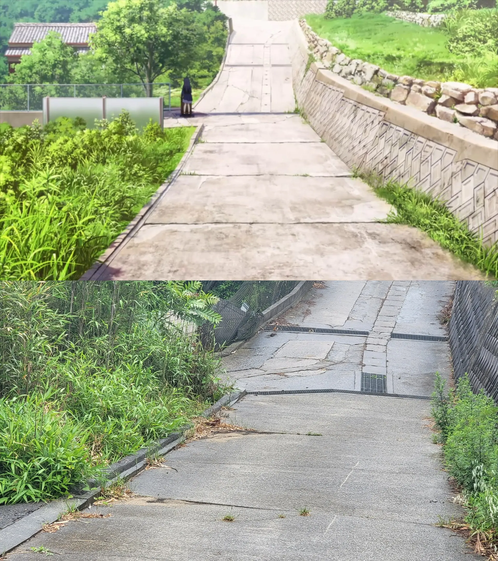 男木岛鸥等待的地方