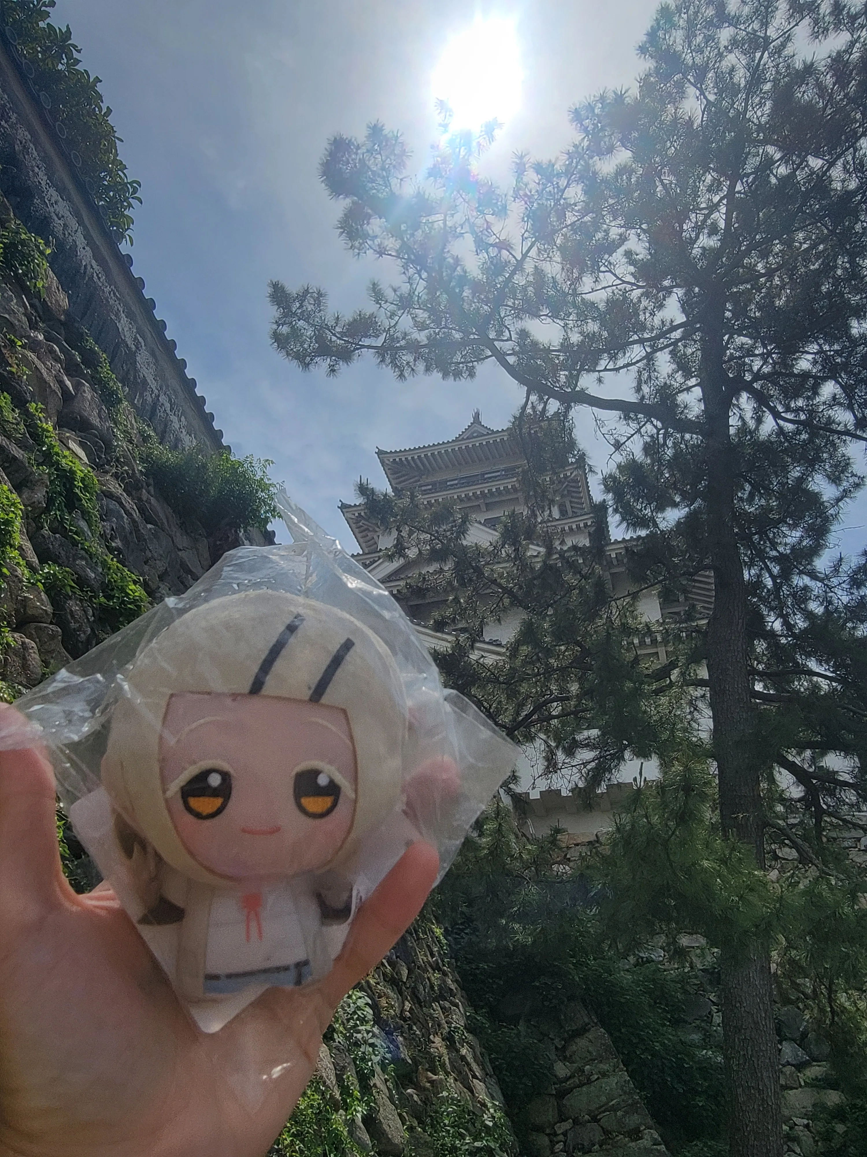 老广在今治城